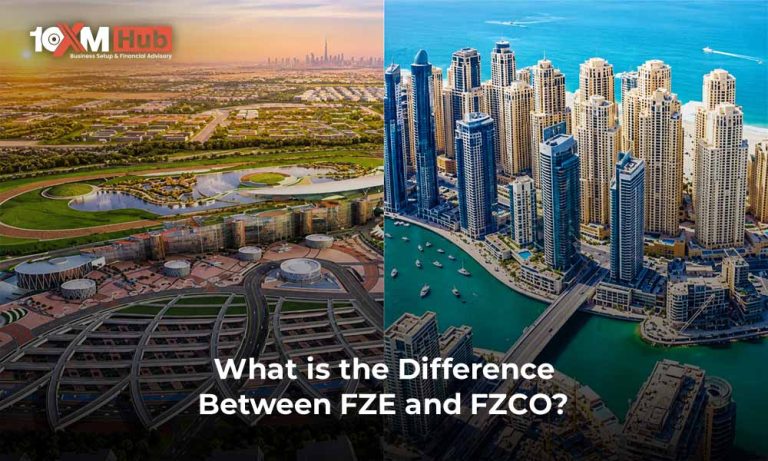 What is the Difference Between FZE and FZCO?